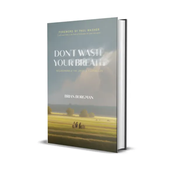 Book cover: Don't Waste Your Breath by Brian Borgman